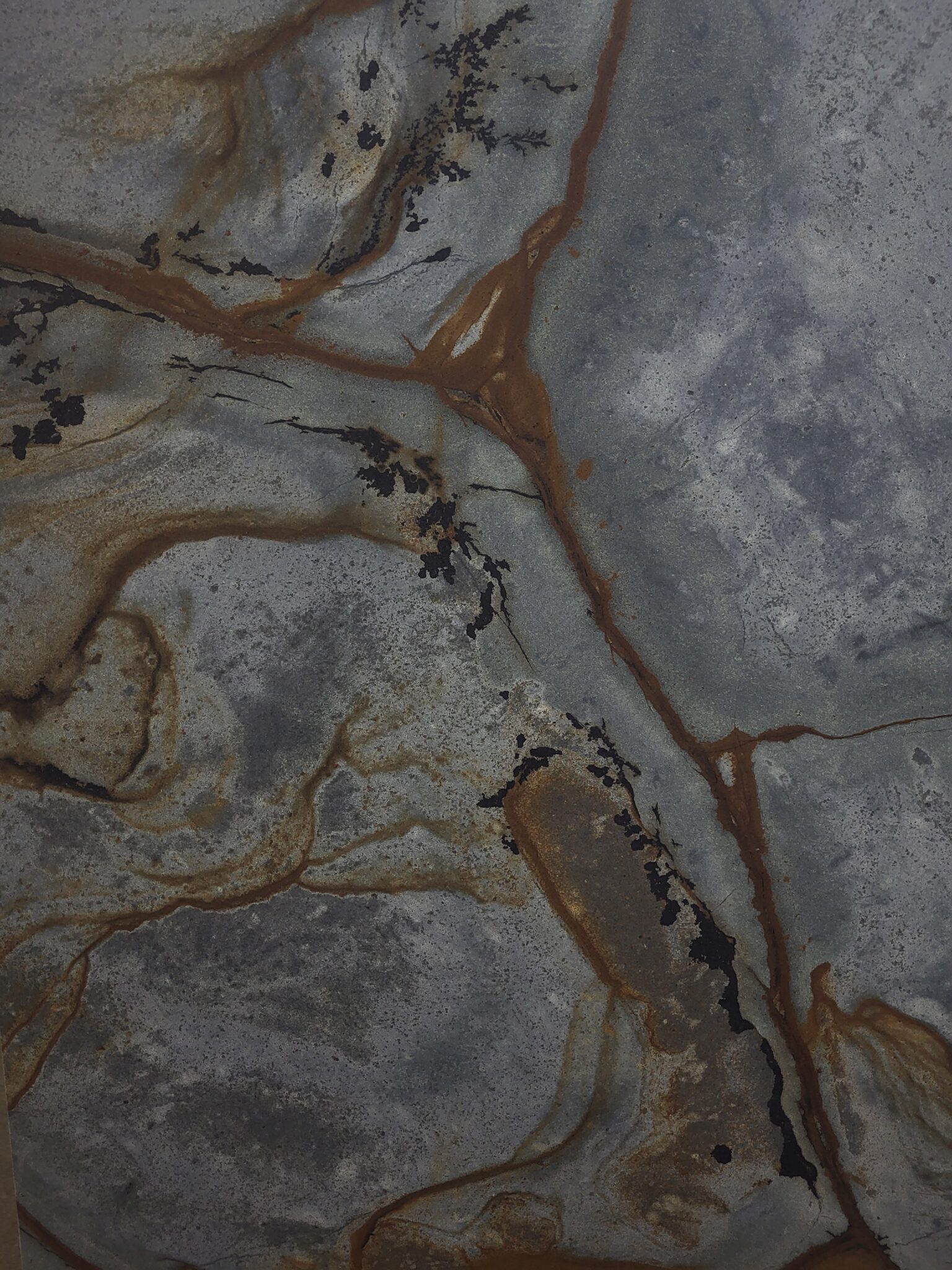 Brazilian Fossil